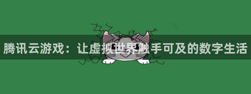 杏宇代理