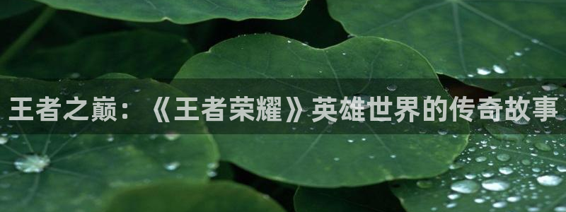 杏宇娱乐平台最新版下载
