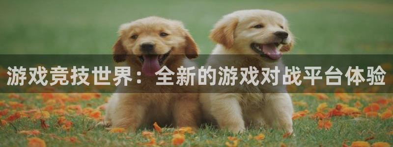 杏宇平台登陆入口地址：游戏竞技世界：全新的游戏对战平台体验