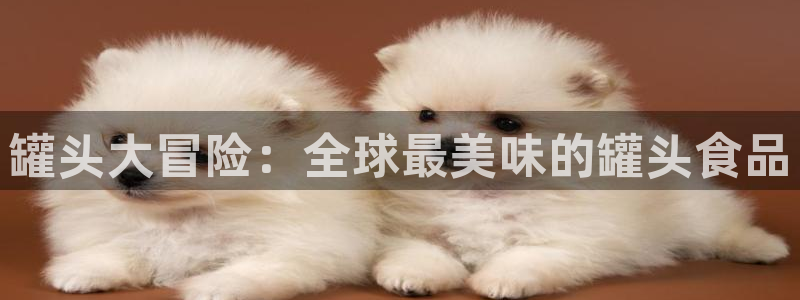 杏宇娱乐登录官网下载安装：罐头大冒险：全球最美味的罐头食品